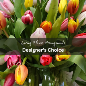 Spring Designer's Choice Arrangements