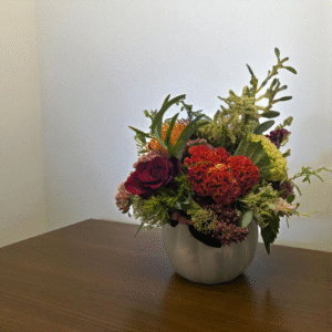 Autumn Treasure