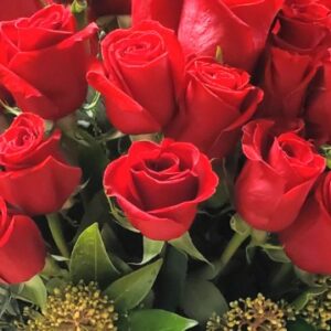 Premium Dozen Long Stem Red Roses
